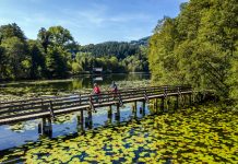 Alemanha de bike: que tal desbravar mais de 200 rotas diferentes pelo país europeu?