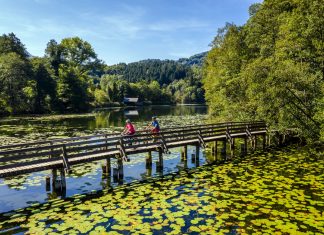 Alemanha de bike: que tal desbravar mais de 200 rotas diferentes pelo país europeu?