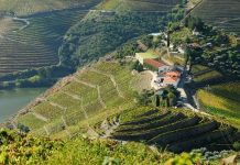 Quinta do Crasto é eleita a 8ª melhor do mundo