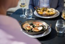 As descobertas de uma Road Trip pela Nova Zelândia