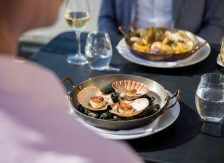 As descobertas de uma Road Trip pela Nova Zelândia