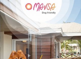 Mavsa Resort abre experiência dog friendly A partir de agora os pet's também podem se hospedar no complexo. Foto: Divulgação/Mavsa Resort