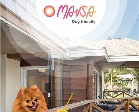 Mavsa Resort abre experiência dog friendly A partir de agora os pet's também podem se hospedar no complexo. Foto: Divulgação/Mavsa Resort