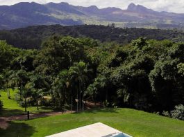 Inhotim anuncia novidades O Instituto Inhotim está localizado em Brumadinho/MG. Foto: Divulgação/Facebook Inhotim