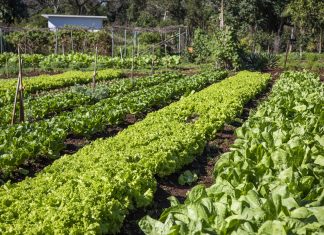 Venha ver essa experiência gastronômica do Bourbon Cataratas do Iguaçu Resort