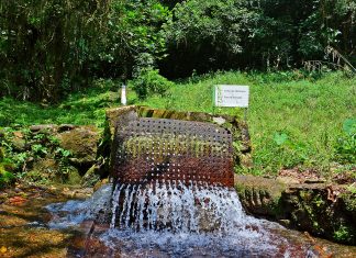 Parque Nascentes de Paranapiacaba integra evento internacional sobre áreas protegidas Atividades fazem parte da Celebração das Áreas Protegidas da América Latina e do Caribe. Foto: Helber Aggio/PSA
