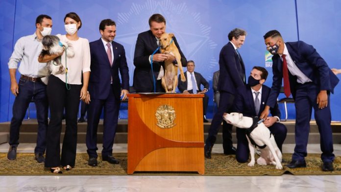 Bolsonaro aprova novas regras em cerimônia no Palácio do Planalto. Foto: Carolina Antunes/PR
