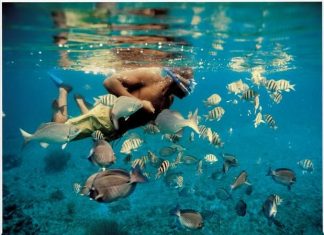 Além do luxo e diversão, Hedonism II também é o paraíso do mergulho O famoso resort all-inclusive, exclusivo para adultos e com modalidade de roupas opcionais fica em uma bela praia de areia branca em Negril. Foto: Divulgação