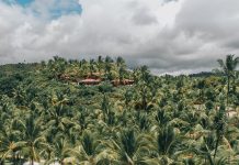 Txai Resorts promove a Black Week by Txai Ação conta com cinco dias de condições especiais para clientes que desejam celebrar o Natal no Resort. Foto: Divulgação