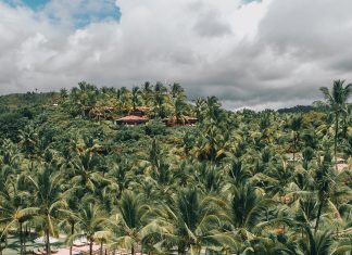 Txai Resorts promove a Black Week by Txai Ação conta com cinco dias de condições especiais para clientes que desejam celebrar o Natal no Resort. Foto: Divulgação