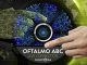 FMABC organiza ‘Oftalmo ABC Live Connection’ Com foco nos aspectos clínicos do glaucoma, evento internacional tem inscrições gratuitas e contará com palestrantes renomados do Brasil e do mundo. Foto: Divulgação/FMABC