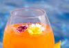 Drinks refrescantes com a cara do verão Dona flor : Rum Bacardi carta blanca, aperol, limão siciliano, baunilha, carambola e flor comestível.. Foto: Divulgação