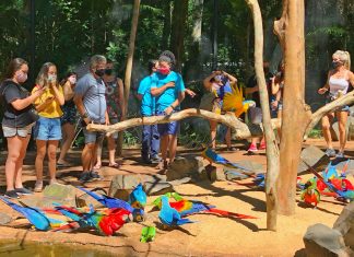 Parque das Aves reforma Viveiro das Araras O maior viveiro de araras da América do Sul aperfeiçoou o espaço e instalou novas estruturas para aumentar o grau de bem-estar das aves e contato com os visitantes. Foto: Divulgação