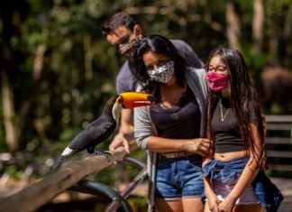 Parque das Aves reforça medidas de prevenção Espaço garante contato direto com as aves. Foto: Divulgação