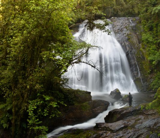 Carnaval na natureza Cachoeira do Tamanduazinho. Foto: Divulgação