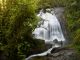 Carnaval na natureza Cachoeira do Tamanduazinho. Foto: Divulgação