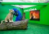 Shopping Taboão recria biomas brasileiros "Natureza Viva" tem parceria com Greenpeace e traz experiência sensorial, animais hiper-realistas e cenários que valorizam a biodiversidade brasileira. Foto: Divulgação