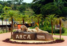 Arca Parque traz programações ecológicas e oficinas em março Criadas para todas as idades, atividades começam no dia 5 e se estendem, de sexta a domingo, durante o mês. Foto: Divulgação