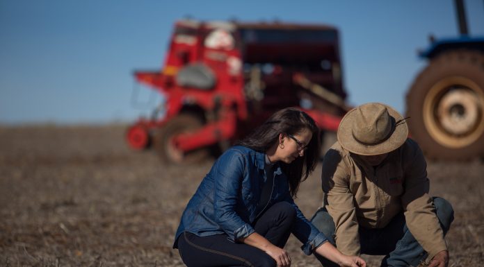 Sicredi está entre as instituições que mais liberaram recursos ao agronegócio Instituição permite conhecer a realidade e atender as necessidades dos agricultores de maneira personalizada. Foto: Divulgação/Sicredi