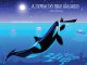 Ex-aluna da FMABC lança livro infantil “A Lenda do Mar Salgado” Obra conta com ilustrações e é indicada para crianças a partir de 2 anos. Foto: Divulgação/FMABC