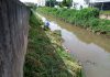Córregos de Santo André são capinados Manutenções preventivas acontecem ao longo de todo o ano nos cursos d'água do município. Foto: Divulgação/Semasa