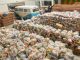 Campanha Solidária distribui mil cestas básicas Iniciativa do Fundo Social de Solidariedade já arrecadou 300 toneladas de alimentos e mais de 35 mil itens entre agasalhos e cobertores. Foto: Angelo Baima/PSA