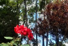 Consórcio ABC promove oficina sobre áreas prioritárias para conservação ambiental