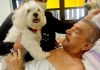 Paciente recebe visita do cachorro de estimação Equipe de humanização abriu exceção ao saber da saudade que João sentia do amigo de quatro patas. Foto: Angelo Baima/PSA