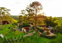 Vale do Café é opção de passeio ao ar livre Região Vale do Café, RJ, tem programação com almoço em lindos cenários, gastronomia orgânica e passeios ao ar livre.. Foto: Divulgação