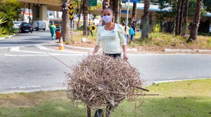 Santo André divulga selecionados da Frente Social de Trabalho Selecionados irão atuar em serviços de zeladoria e manutenção da cidade. Foto: Alex Cavanha/PSA