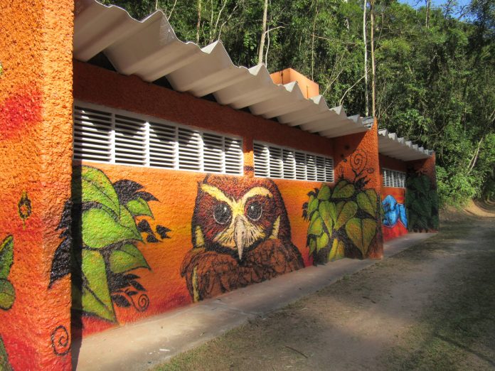 Melhorias fazem parte do pacote de compensação ambiental que a área verde tem recebido. Foto: Divulgação/Semasa