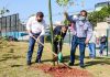 São Bernardo celebra Semana do Meio Ambiente com diversas atividades Prefeito Orlando Morando plantou uma muda no Parque dos Ipês. Foto: Gabriel Inamine/PMSBC