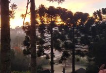 Inverno em Monte Verde inicia com mínima de 1ºC e geada No primeiro dia de solstício, vila amanheceu com temperaturas baixas, que podem cair ainda mais durante a estação. Foto: Divulgação/Nelson Pacheco