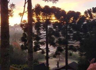 Inverno em Monte Verde inicia com mínima de 1ºC e geada No primeiro dia de solstício, vila amanheceu com temperaturas baixas, que podem cair ainda mais durante a estação. Foto: Divulgação/Nelson Pacheco