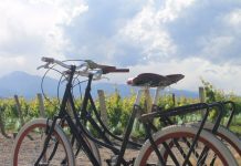 Inspire-se em roteiros de bike pelo mundo Além de ser considerado um esporte, pedalar pode garantir mais aventuras durante uma viagem. Foto: Divulgação