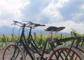 Inspire-se em roteiros de bike pelo mundo Além de ser considerado um esporte, pedalar pode garantir mais aventuras durante uma viagem. Foto: Divulgação