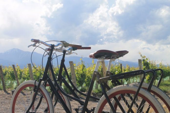 Além de ser considerado um esporte, pedalar pode garantir mais aventuras durante uma viagem. Foto: Divulgação