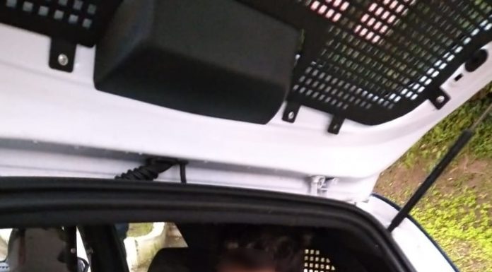 GCM de Ribeirão Pires detém ladrão de fios Preso foi encaminhado para o 1° DP depois de ser enquadrado em crime de furto qualificado. Foto: Divulgação/PMRP