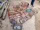 Aves silvestres são resgatadas de cativeiro Ao todo, foram resgatadas 11 aves silvestres ameaçadas de extinção. Foto: Divulgação/PMSBC