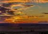 Por que o Alentejo é o destino perfeito para slow travel? Piquenique em Alentejo. Foto: Victor Carvalho