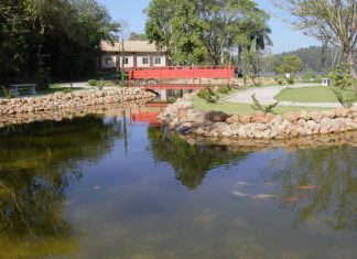 Lago do Parque Oriental recebe revitalização Trabalho é feito pelos funcionários do parque e peixes foram realocados durante o processo. Foto: Divulgação/PMRP