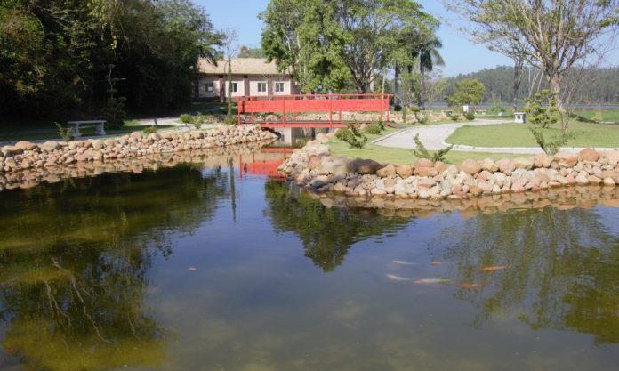 Trabalho é feito pelos funcionários do parque e peixes foram realocados durante o processo. Foto: Divulgação/PMRP