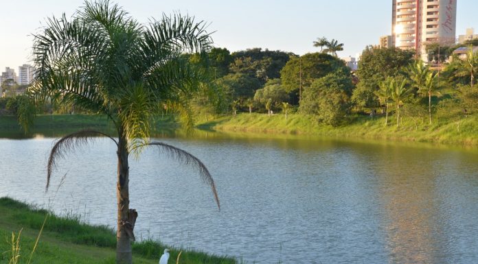 Parque Central terá obras a partir desta segunda Lago do Parque Central. Foto: Alex Cavanha/PSA
