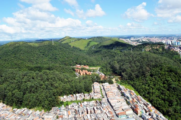 Mata Atlântica. Foto: Divulgação/Semasa