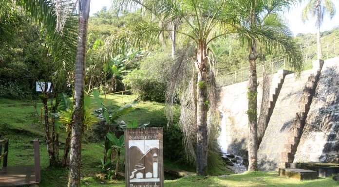 Parque Nascentes de Paranapiacaba é tema de bate-papo Encontro realizado em parceria com a Prefeitura faz parte do projeto Tardes Interativas, desenvolvido pelo Semasa. Foto: Divulgação/Semasa