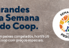 Semana do Pescado na COOP Promoções serão válidas na primeira quinzena de setembro. Arte: Divulgação/COOP