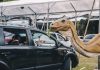 Jurassic Safari é opção de aventura para toda a família Diversas réplicas animadas de dinossauros em tamanhos reais irão correr ao redor dos carros em performances e movimentos impressionantes. Foto: Camila Cara