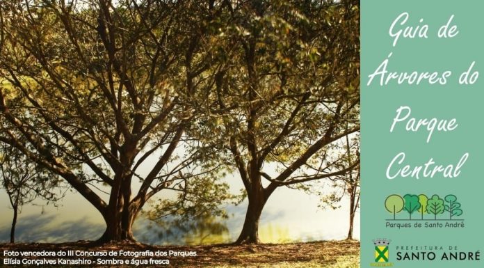 Parque Central ganha Guia de Árvores Capa do Guia de Árvores do Parque Central foi produzida pela vencedora do concurso de fotografias de parques, Elísia Gonçalves Kanashiro. Foto: Elísia Gonçalves Kanashiro