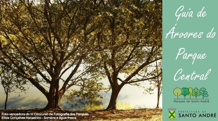 Capa do Guia de Árvores do Parque Central foi produzida pela vencedora do concurso de fotografias de parques, Elísia Gonçalves Kanashiro. Foto: Elísia Gonçalves Kanashiro