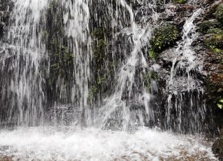 Trilha da Cachoeira Escondida é reaberta ao público Cachoeira começa no Parque Nascentes de Paranapiacaba e termina no Parque Estadual da Serra do Mar, em Santos. Foto: Divulgação/PSA